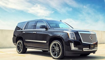 What Are Trues and Vogues?